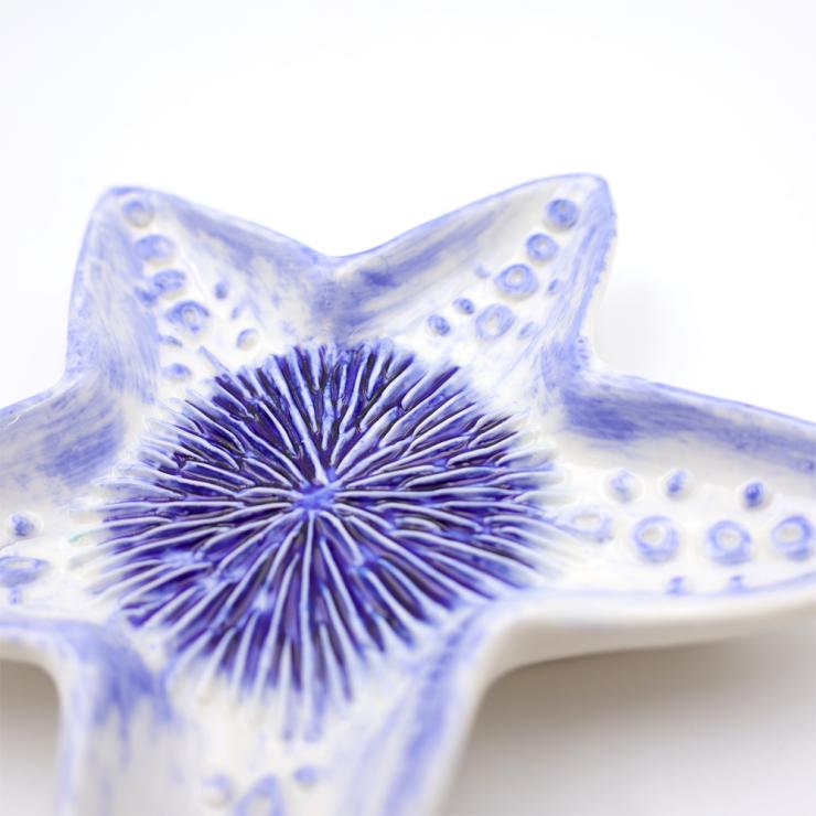 Blue Starfish Ceramic Grater Plate